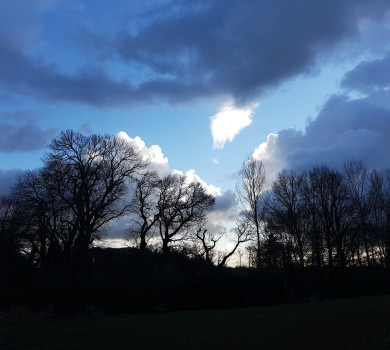 Bonne Année!... mais encore?